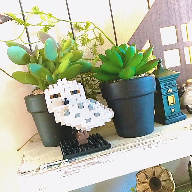 xigyanさんの実例写真