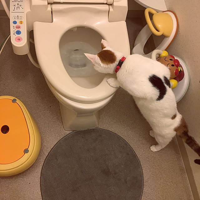 ichi.さんの実例写真