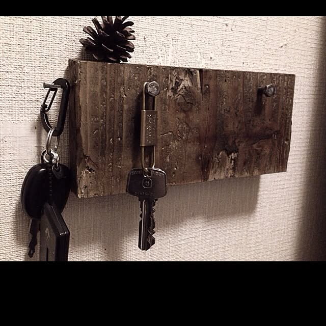 jnkaiさんの実例写真