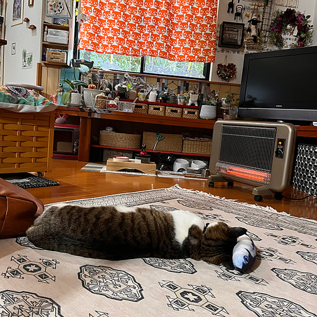 jijiさんの部屋