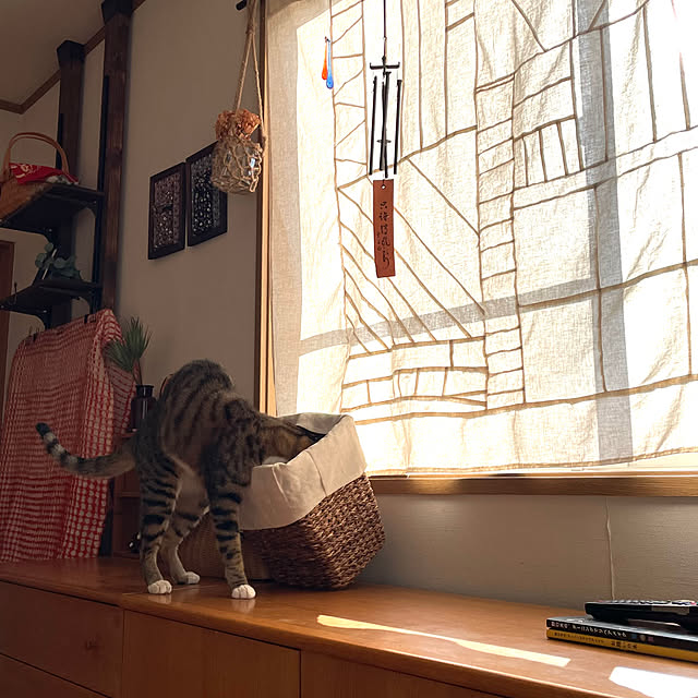 nobikoさんの部屋