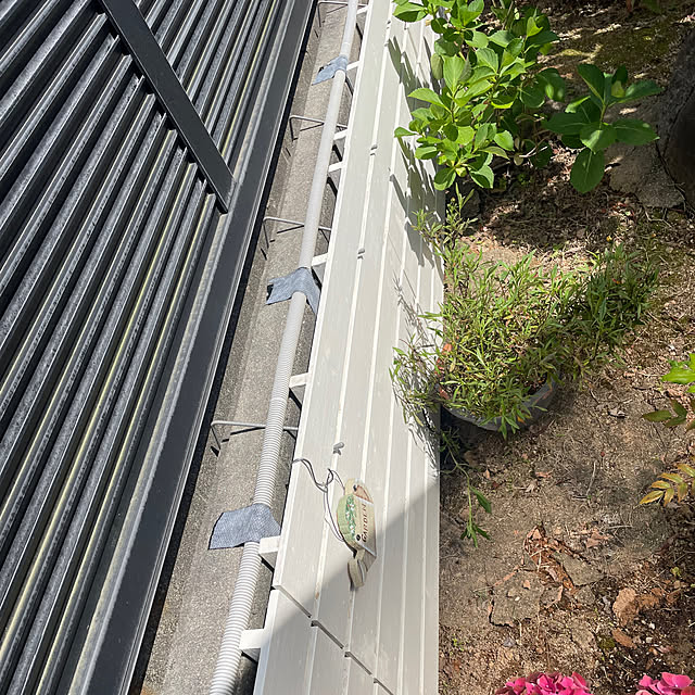kuikoさんの部屋