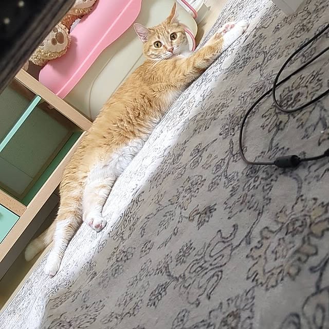minnieさんの実例写真