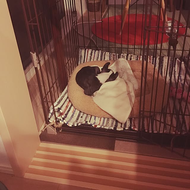 Tomoさんの実例写真