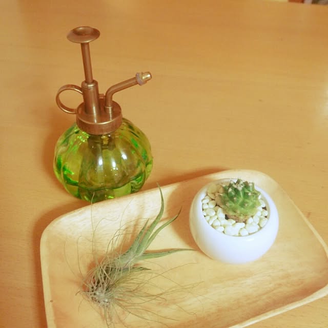 makimakiさんの実例写真
