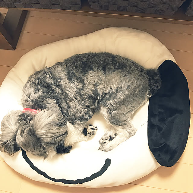 tamaeさんの実例写真