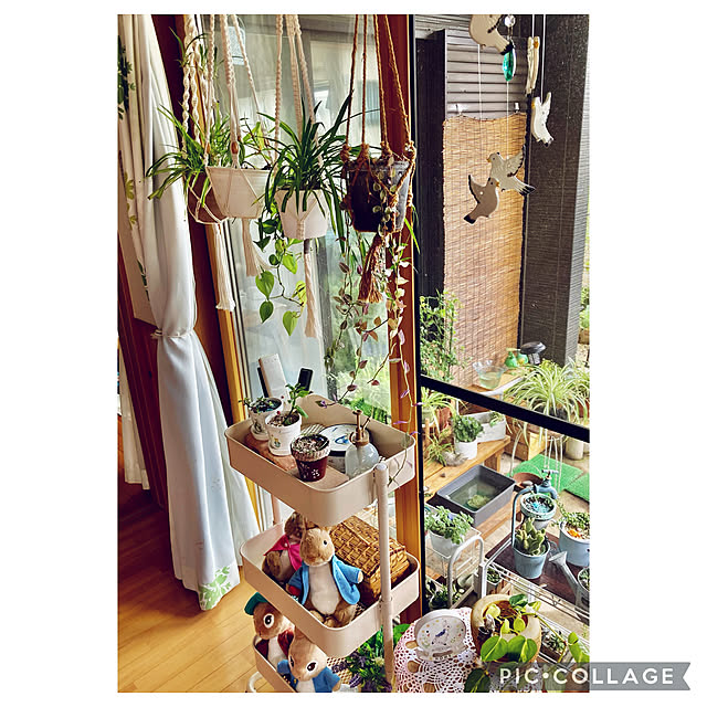 CoCo0617さんの実例写真