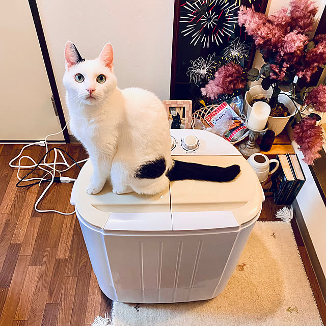 YUKAさんの部屋