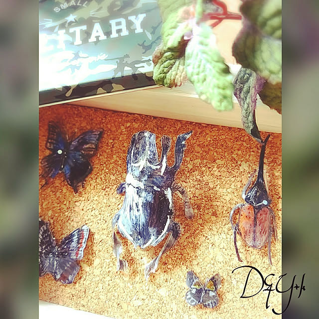 DandYkさんの実例写真