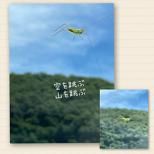 buchiさんの部屋