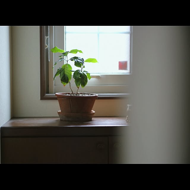kurumin5さんの実例写真