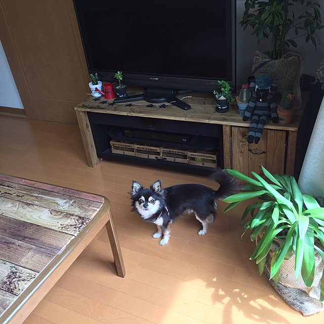 yokochinさんの実例写真