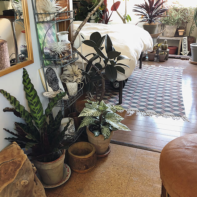 SHINPEIさんの実例写真
