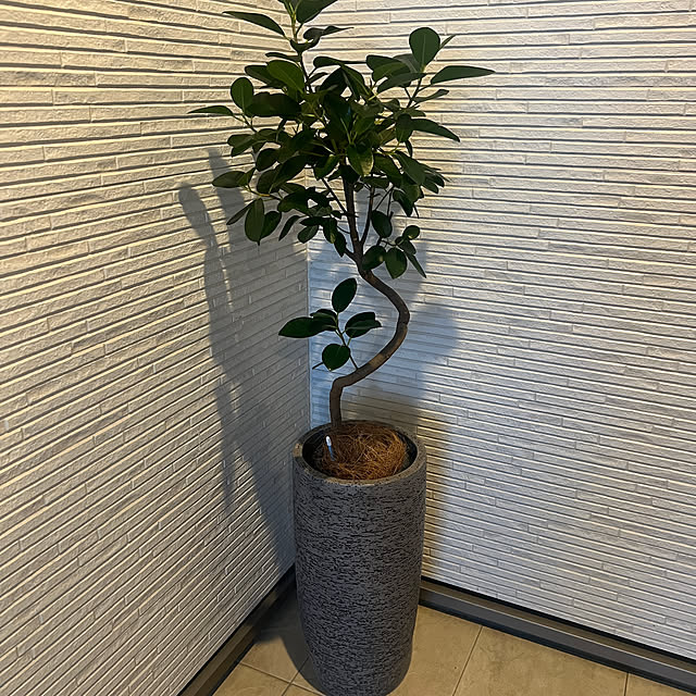 mocoさんの部屋