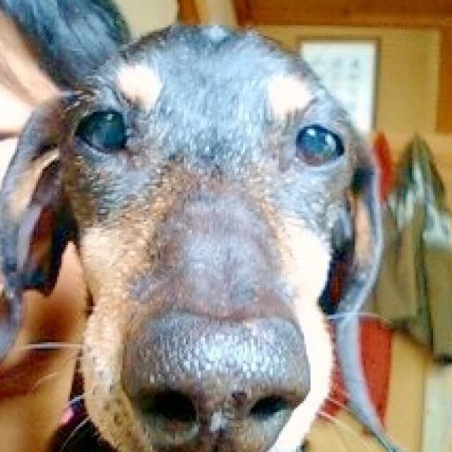 madokaさんの実例写真