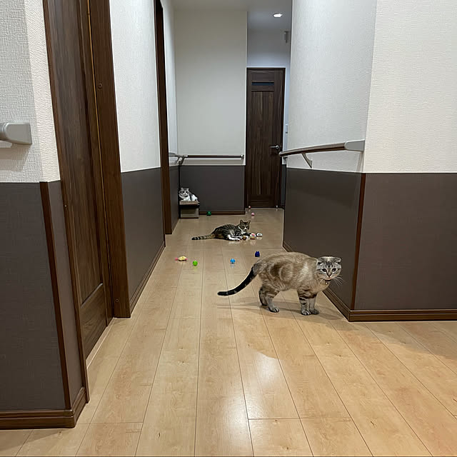 Dahliaさんの実例写真