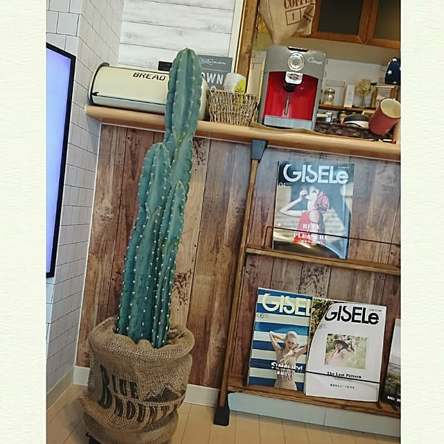 tenaさんの実例写真