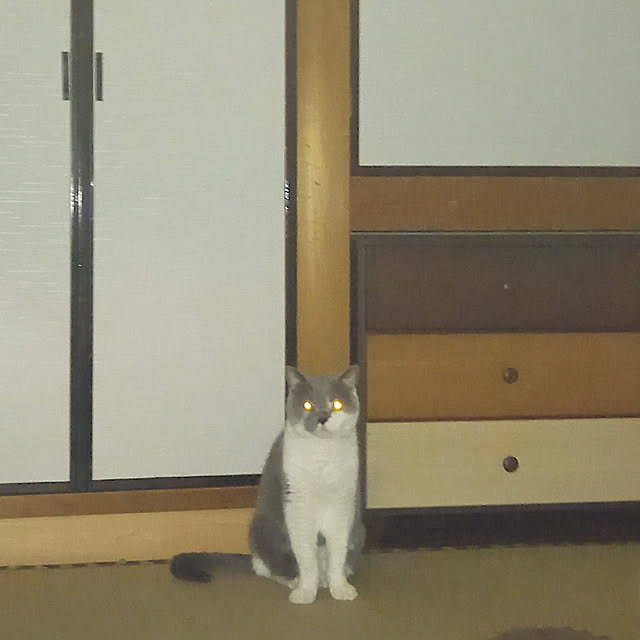 rhuさんの実例写真
