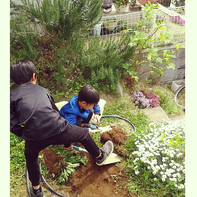 YU-KAさんの実例写真