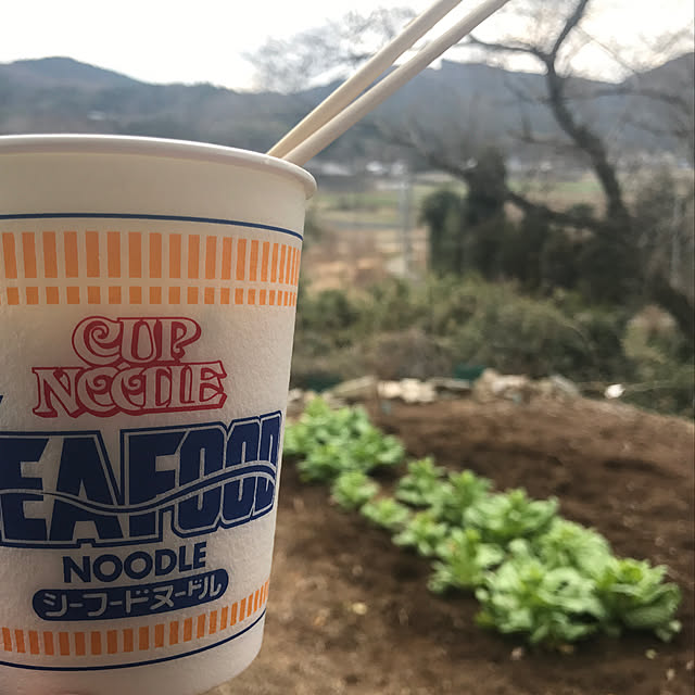 sakurasakuさんの実例写真