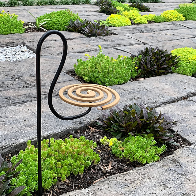 Royal_Gardeners_Clubさんの実例写真