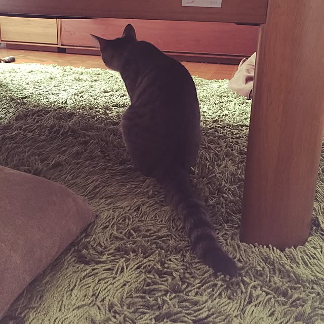 beruさんの実例写真