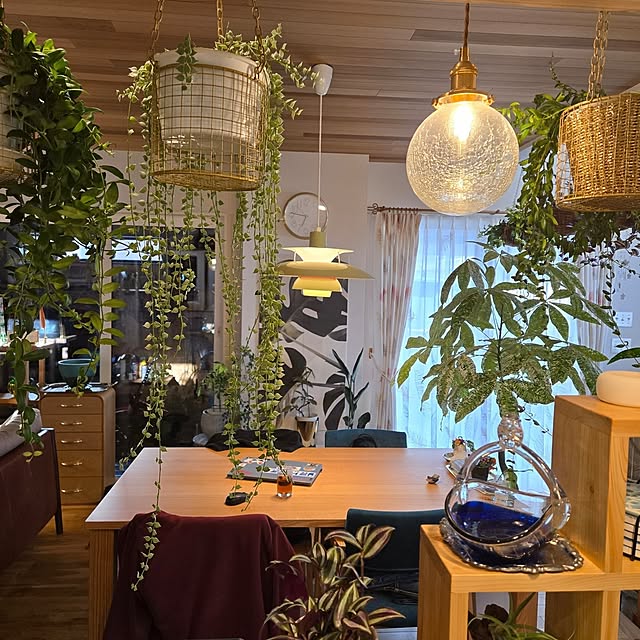 nonbiri_house_さんの部屋