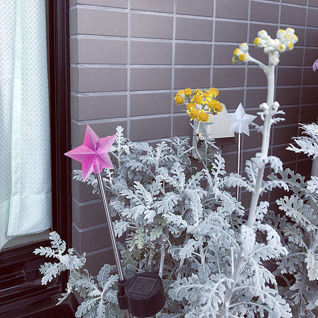 kanaさんの実例写真