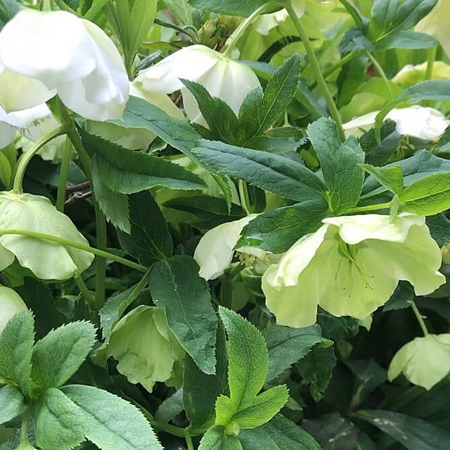 erinanaforさんの部屋
