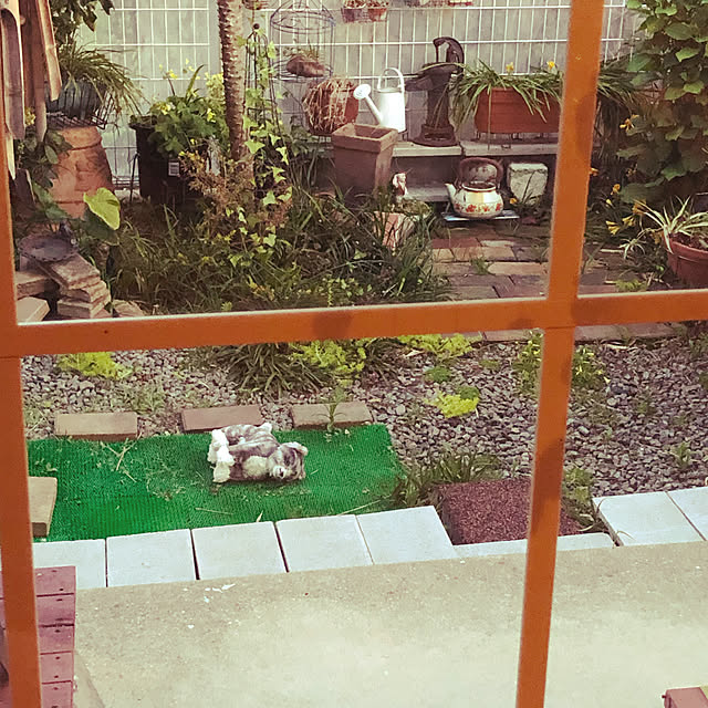 cloverさんの実例写真