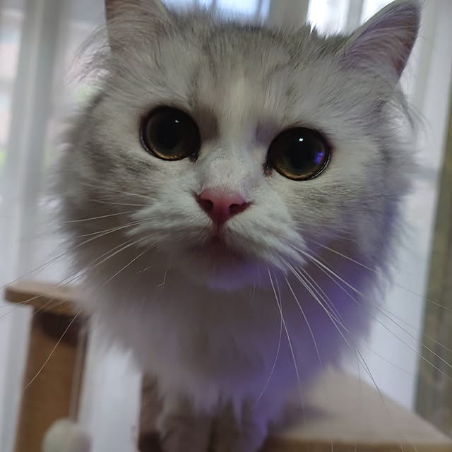 Yunaさんの部屋