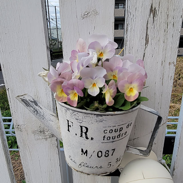 natyenaoさんの実例写真