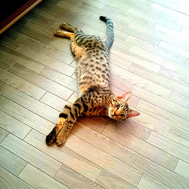 ken.kawakamiさんの実例写真