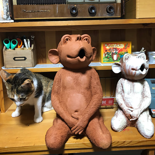 vivienne.coco-keiさんの実例写真