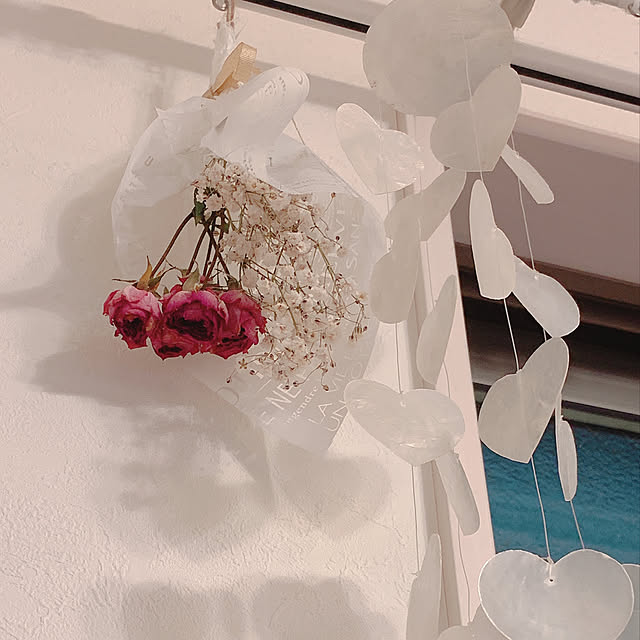 Nicolaさんの実例写真