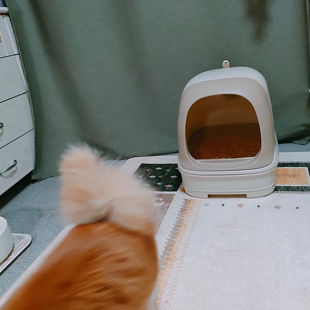 mori_6_12さんの実例写真