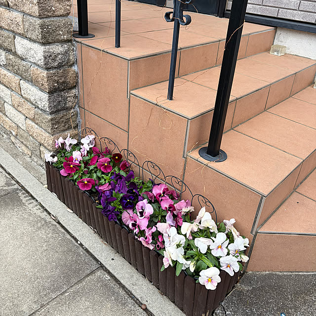 chaimomさんの部屋