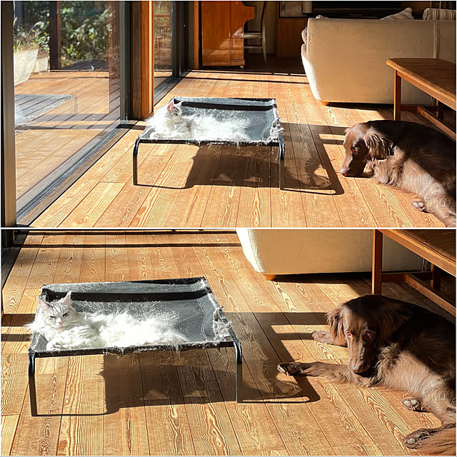 Kikko.さんの部屋