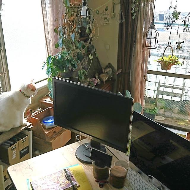 Kazukiさんの実例写真
