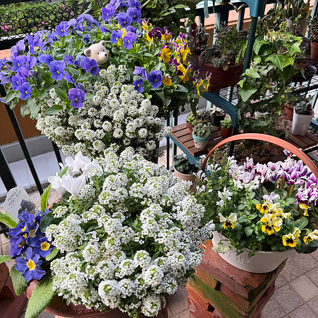 Aqettyさんの実例写真