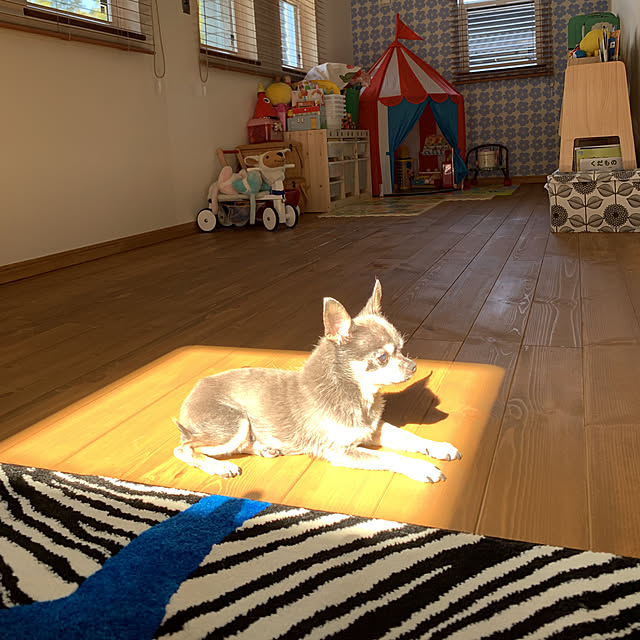 maric323さんの実例写真