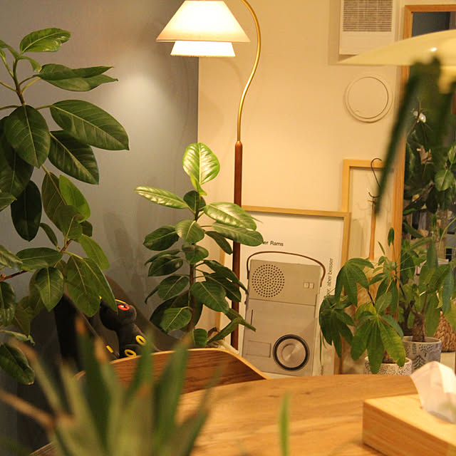 busho_no_hahaさんの部屋