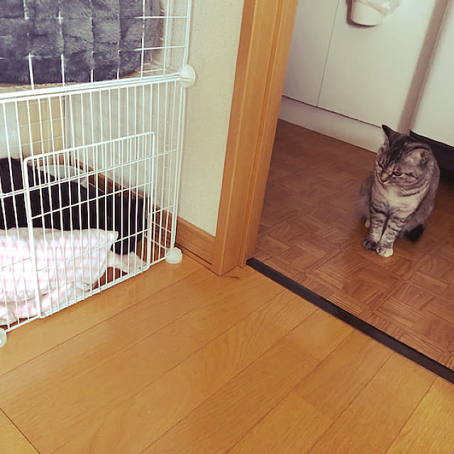 erichinさんの実例写真