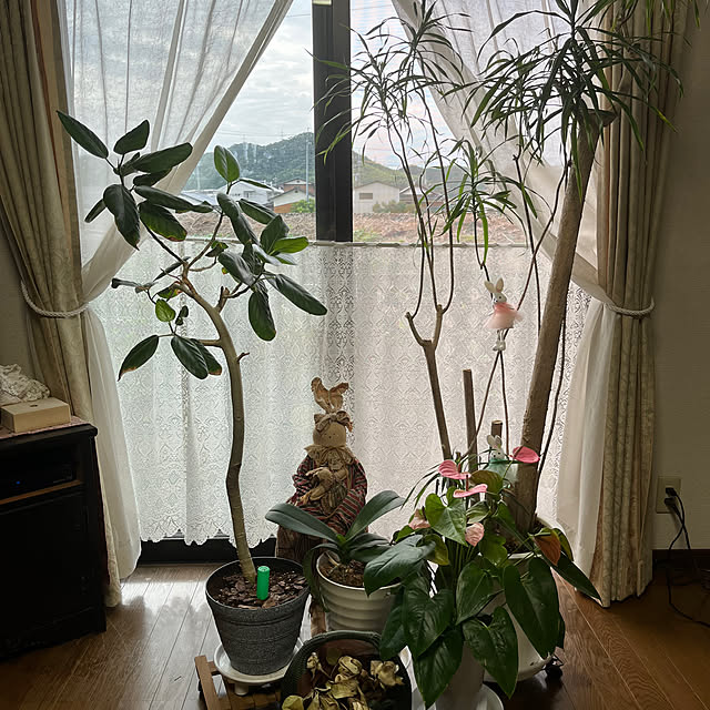 ritsukoさんの部屋