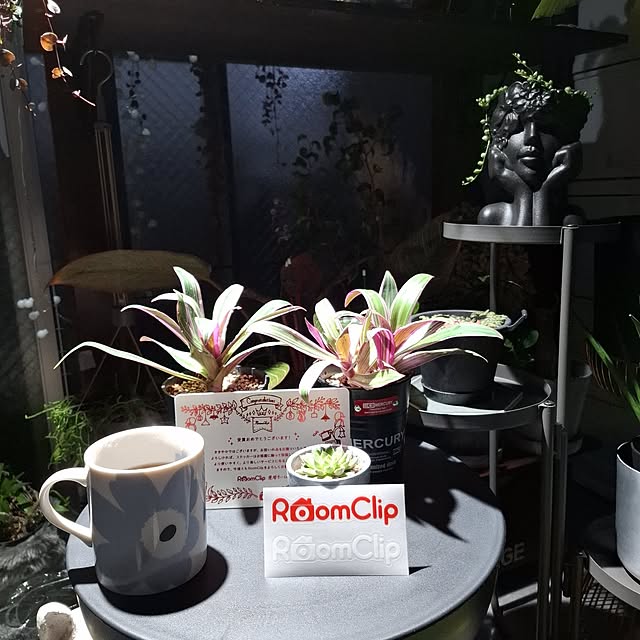 noaさんの実例写真