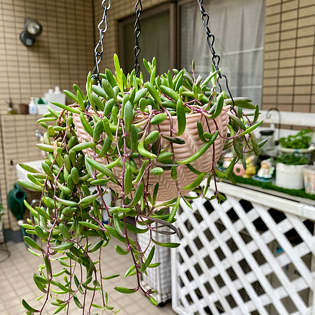 YuuKoさんの実例写真
