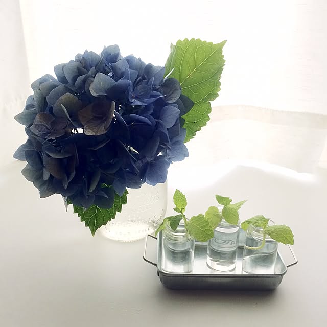 c.roomさんの実例写真