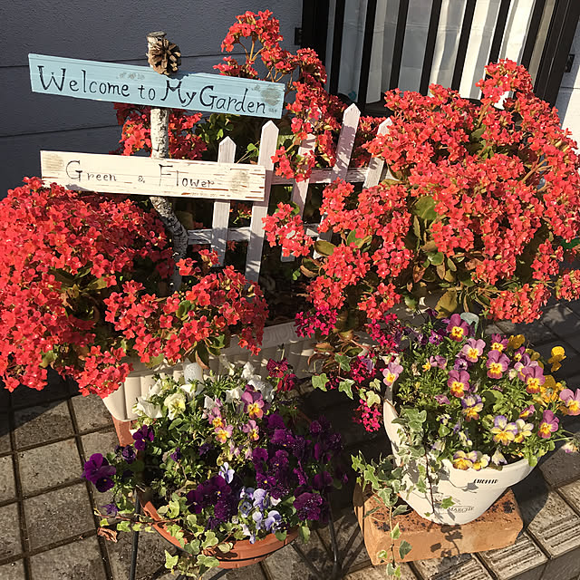 roseさんの実例写真