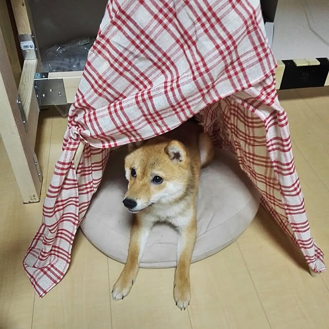 YAGI555さんの実例写真