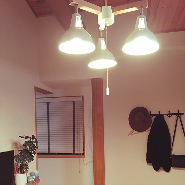 Harukaさんの実例写真